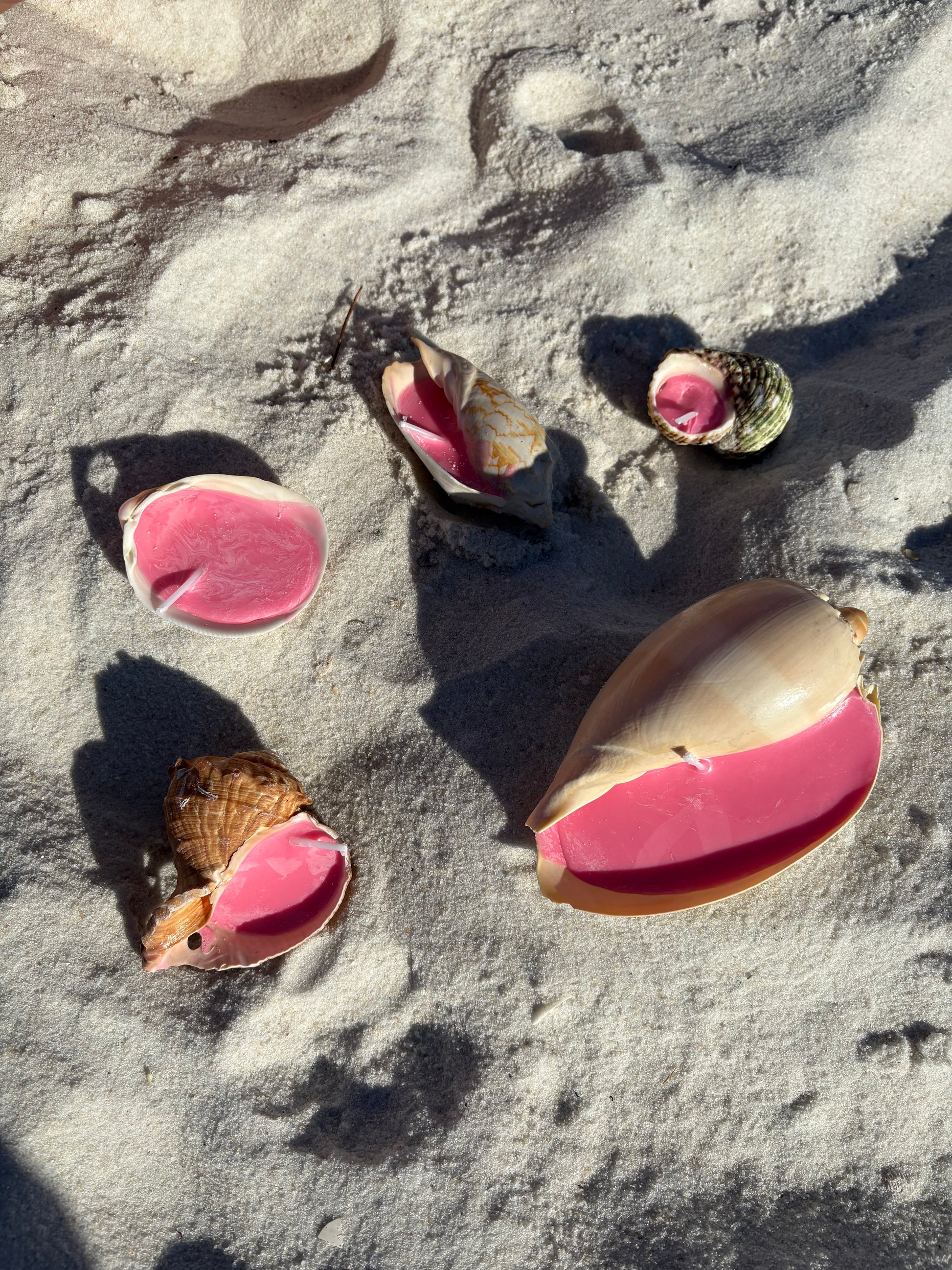 Shell with pink interior on a sandy surface